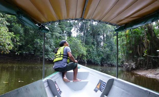Riverboat tour of Ecuador's Amazon basin blends luxury, rain-forest experiences