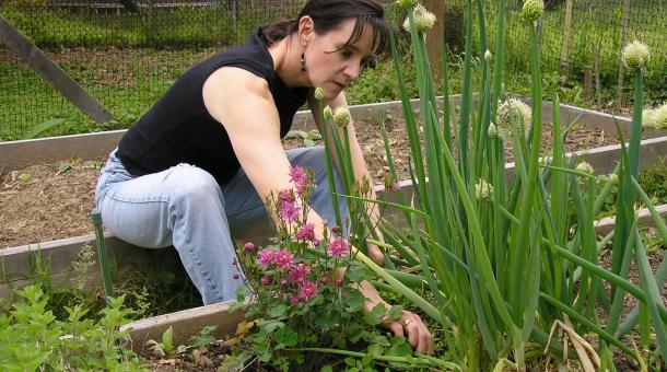 7 lessons the global economy teaches us about gardening