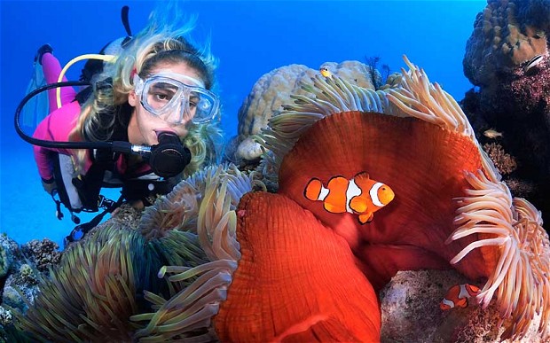 The Great Barrier Reef, Australia: Trip of a Lifetime