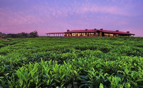 The Nyungwe Forest Lodge in Rwanda is Perched at the Edge of One of the …