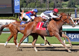 Game On Dude defends title in Hollywood Gold Cup