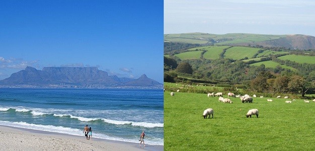 My South African Adventure: How Living Abroad Brings out Green, Green Grass …