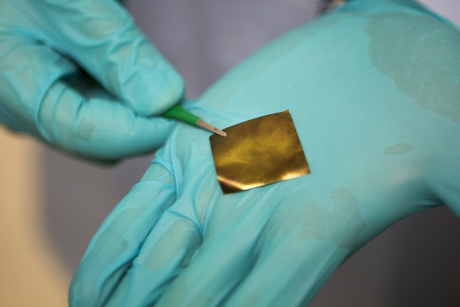 Stretchy Gold Electronics Could Someday Live Inside Your Brain