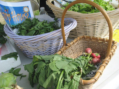 Farmers market thrives in Munising