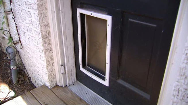 Burglar Uses Doggie Door to Break In