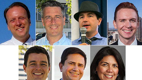 Phoenix City Council District 4 voters get 7 options