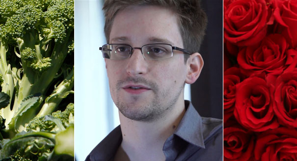 Edward Snowden, broccoli and roses