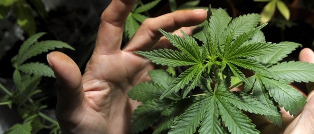 CNN's Sanjay Gupta changes changes his mind on medical marijuana
