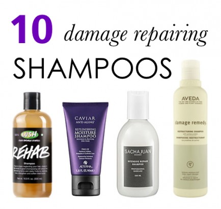 10 Luxury Shampoos to Repair Damaged Hair