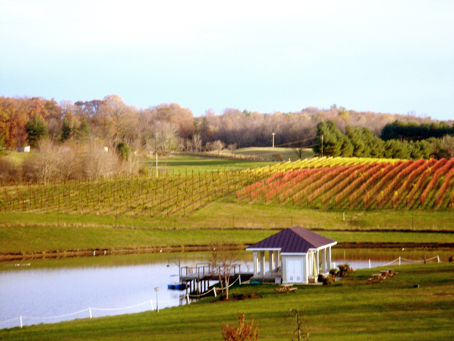 Indian American Couple Mixes East With West in Vineyard