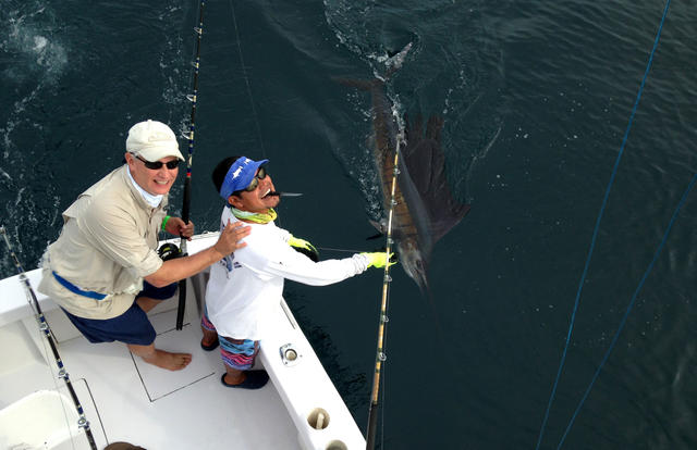 Doctors reel in sailfish