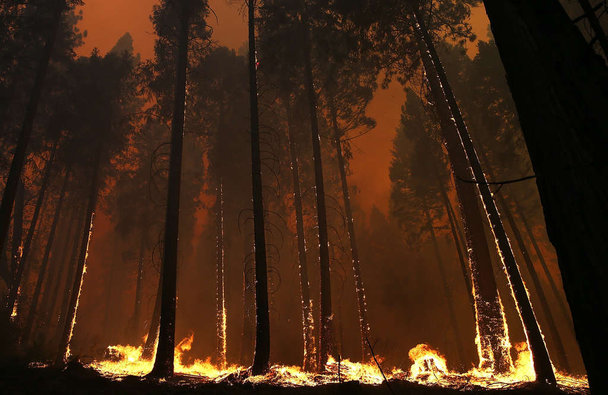 Huge California wildfire spreads into Yosemite park