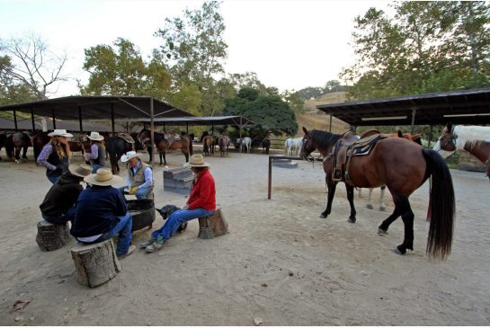 Dude ranches: 10 great places to visit in North America