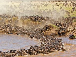 Trip planner to Kenya: A generous dose of wildlife, culture and adventure