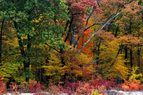 Autumn Adventure offers Metroparks exploration