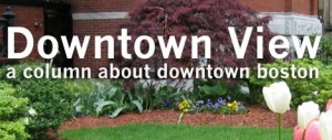 Downtown View: Two City Council Candidates for District 8