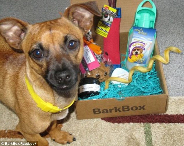 Mail dogs CAN get their teeth into! Monthly subscription service for pampered …