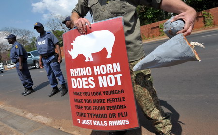 Status, not health, motivates Vietnamese to kill rhinos