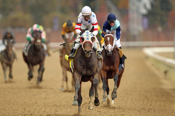 Jockey Club Gold Cup 2013: Results and news