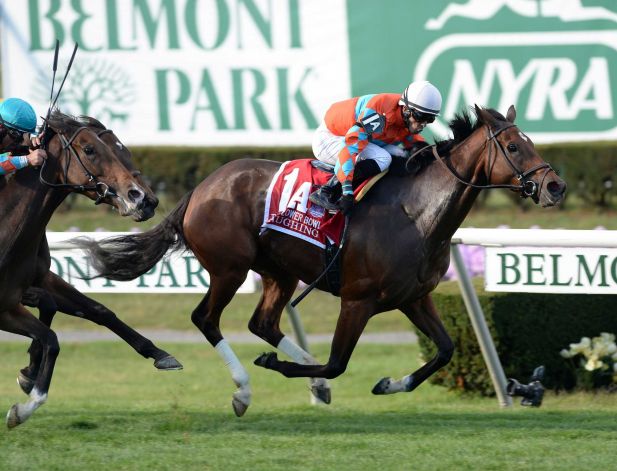 Jockey Club Gold Cup 2013 Results: Ron the Greek springs the upset