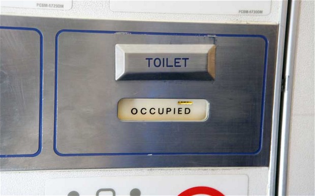 What happens when you flush a plane loo?