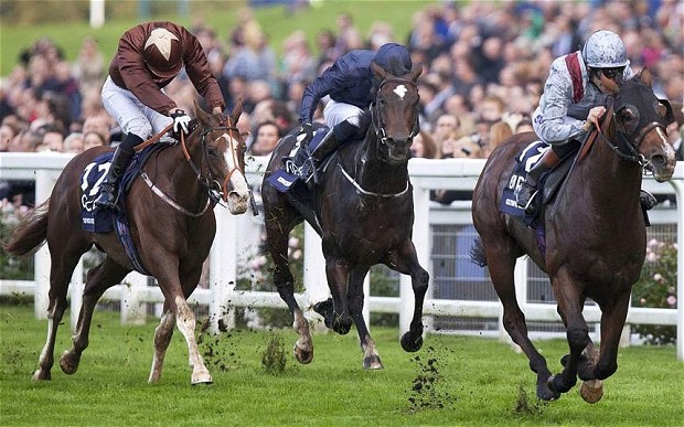 Olympic Glory takes gold in the Queen Elizabeth II Stakes to cap champion …