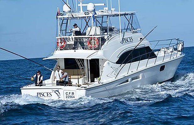 Luxury yacht no match for fish