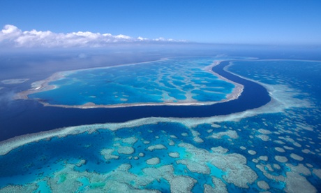 The Reef: A Passionate History, by Iain McCalman – book review