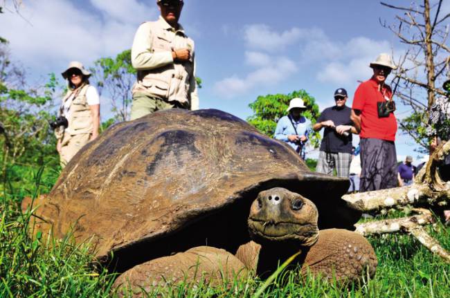 Top 5 things to know about the Galapagos Islands, including steam train Tren …
