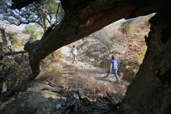 Scientists fear an LA County gated community's environmental impact