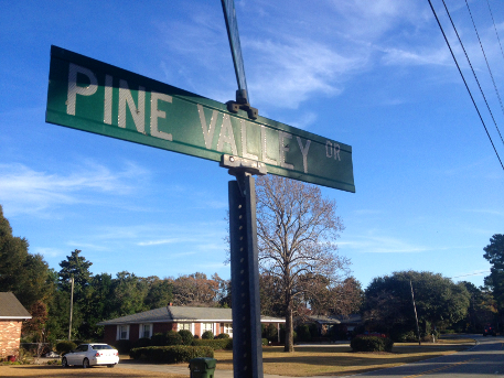 Pine Valley crowd weighs in on future of neighborhood, city as a whole
