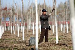 Urbanites flee China's smog for blue skies