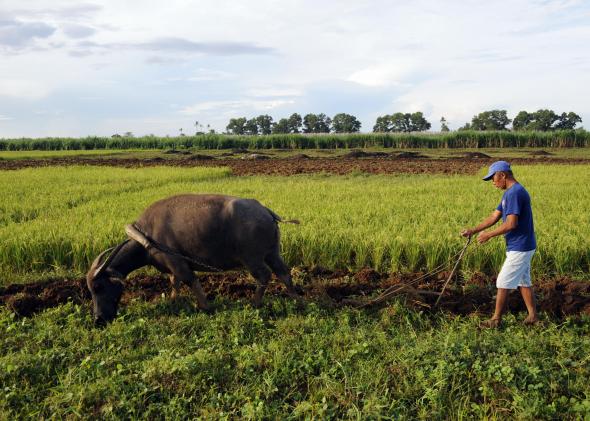 What Big Sugar Can Do to Help the Poor