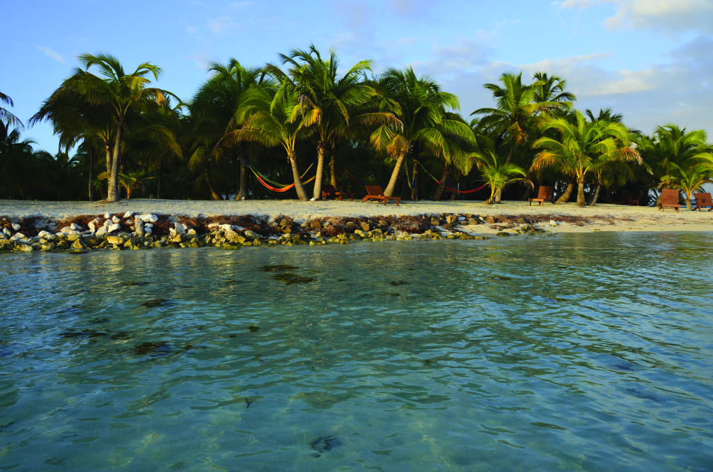 Special Feature: Reasons to Belize