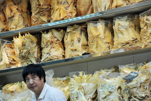 China bans shark fin soup, other wildlife products at official dinners