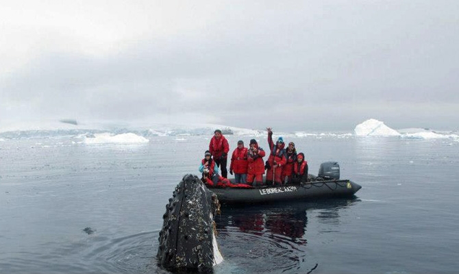 New Luxury Antarctica Cruises for 2014