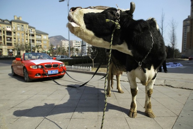 Are China's Female Car Buyers Really More 'Emotional' Than Men?