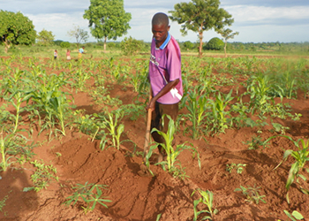 Can development of agriculture alone eradicate poverty in Tanzania?