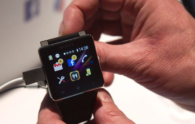 Wearable gadgets not ready for prime time: Tech watchers