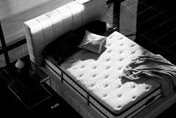 Mattress Factory Introduces The New Luxury Beautyrest Black 2014 Line Up