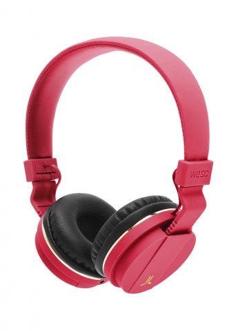 Top 5 Picks From the 'Celebrity' Headphone Bubble