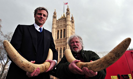 Illegal wildlife trade: 50 nations gather in London for high-level summit