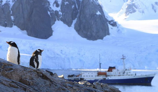 Cruising the high (and cold) seas