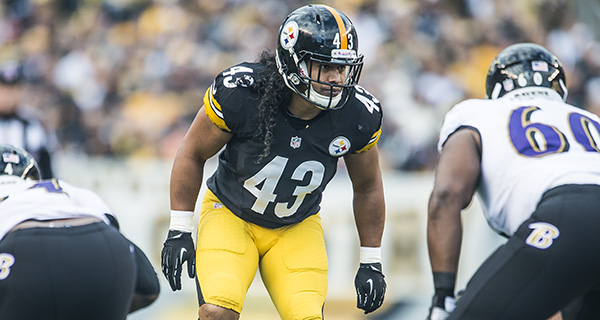 Polamalu to co-host charity golf event