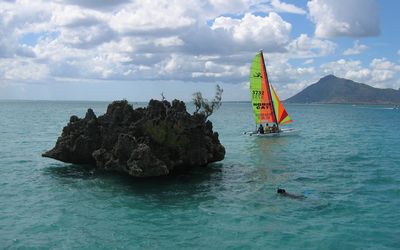 Swimming with dolphins off Mauritian coast is a memorable experience