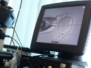 More single women opting for IVF