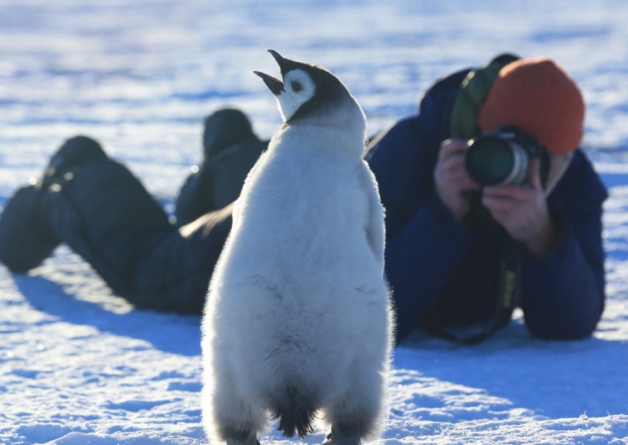 Photographer who has captured the wonders of nature