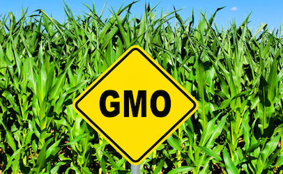 Vermont's GMO Labeling Law: What it Really Means for Consumers