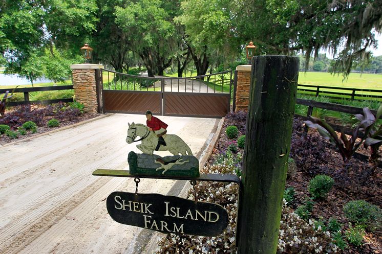 Sheik Island horse training farm in Dade City on the market for $4.5 million