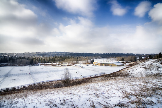 Canadian Estate to List for $27.5 Million